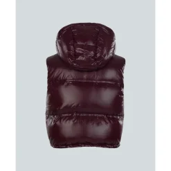 Aztech Mountain Womens Snowbird Vest