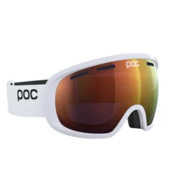 POC Fovea Goggle